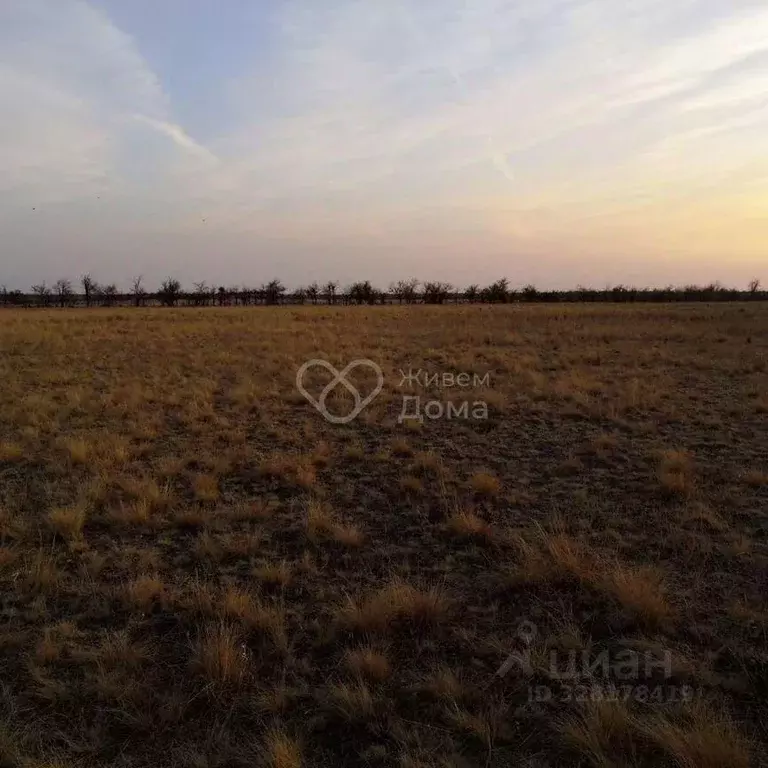 Участок в Волгоградская область, Волгоград Село Песчанка тер., ул. ... - Фото 2