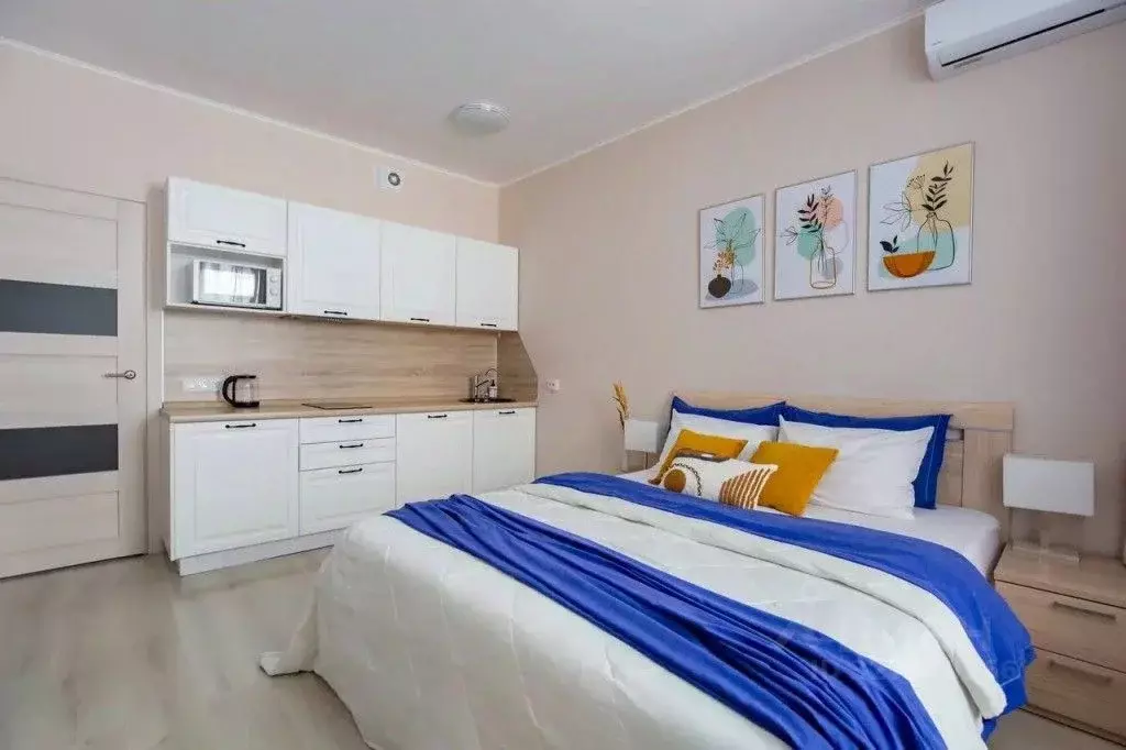 1-к кв. Санкт-Петербург дор. Торфяная, 15к3 (24.0 м) - Фото 1