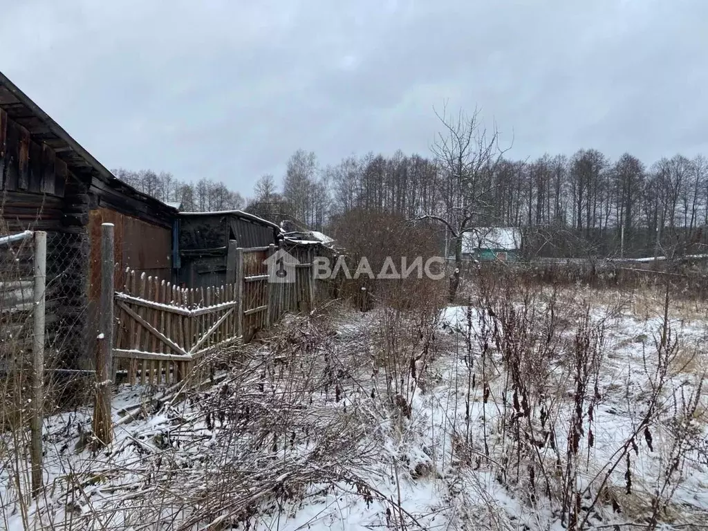 Участок в Владимирская область, Владимир д. Бухолово,  (10.0 сот.) - Фото 2