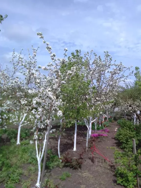 Участок в Ставропольский край, Ставрополь Кравцово садовое ... - Фото 1