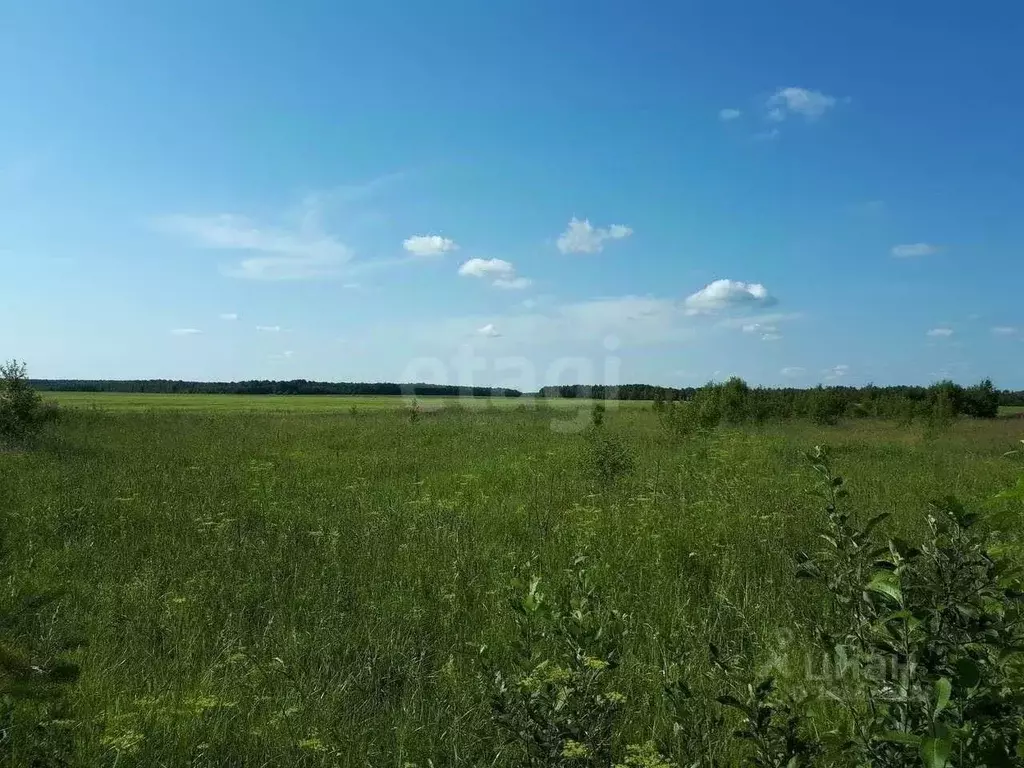 Участок в Пермский край, Добрянка Крутая Гора-2 мкр,  (15.0 сот.) - Фото 1