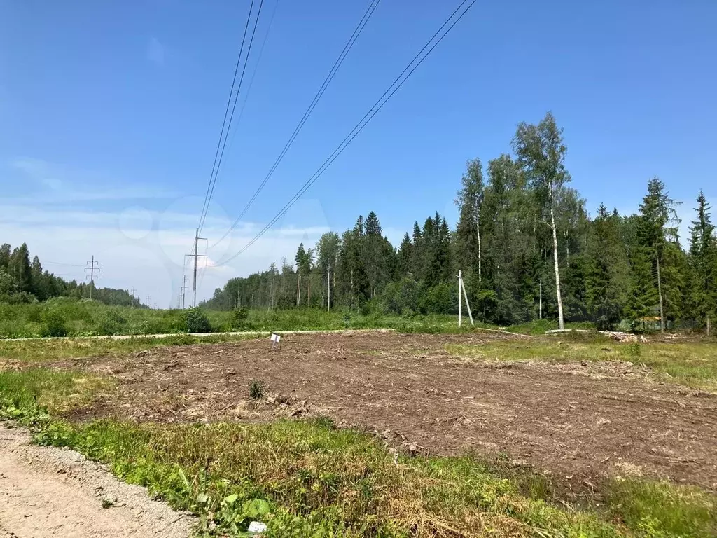 Участок 8,3 сот. (СНТ, ДНП) - Фото 0