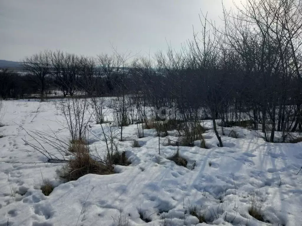 Участок в Белгородская область, Губкинский городской округ, с. Осколец ... - Фото 0