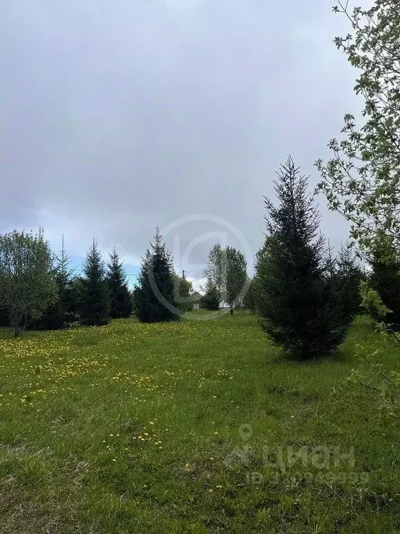 Участок в Московская область, Можайский муниципальный округ, Ясная ... - Фото 1