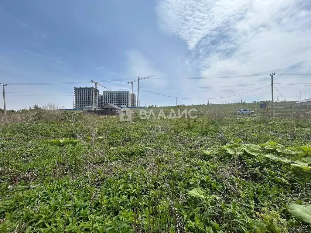 Участок в Сахалинская область, Корсаков ул. Тенистая, 38 (11.26 сот.) - Фото 0