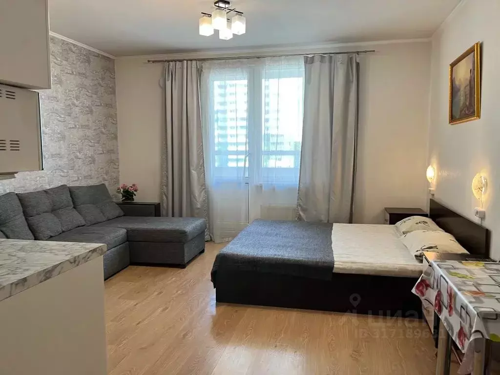 Студия Санкт-Петербург просп. Энергетиков, 11к2 (28.0 м) - Фото 1