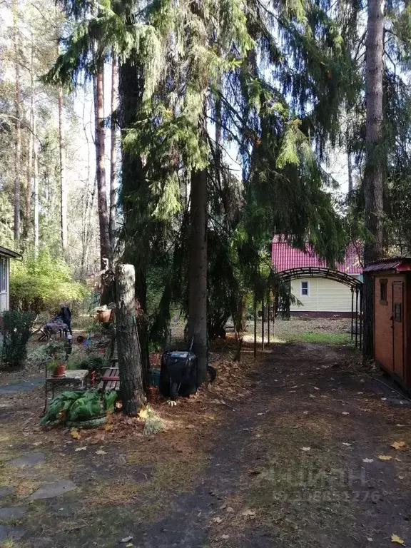 Дом в Московская область, Раменский городской округ, Кратово дп ул. ... - Фото 1