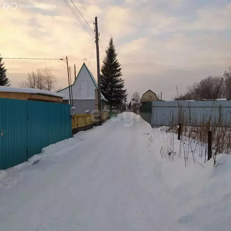 Участок в Тюменский район, садовое общество Птицевод, Смородиновая ... - Фото 1