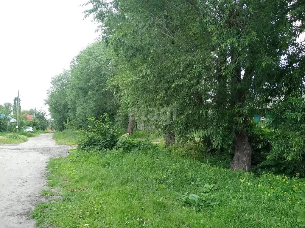 Участок в Саратовская область, Балашов Малая Интернациональная ул. ... - Фото 1