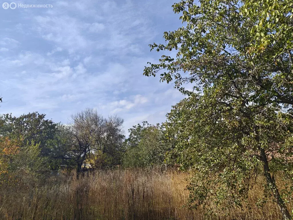 Участок в Кулешовское сельское поселение, СНТ Белгорос (5 м) - Фото 2