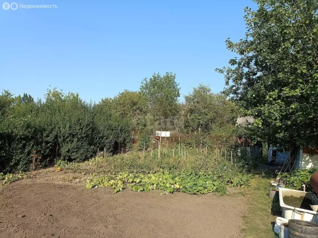 Участок в Стрелицкое городское поселение, СНТ Жемчужина, Зелёная улица ... - Фото 1