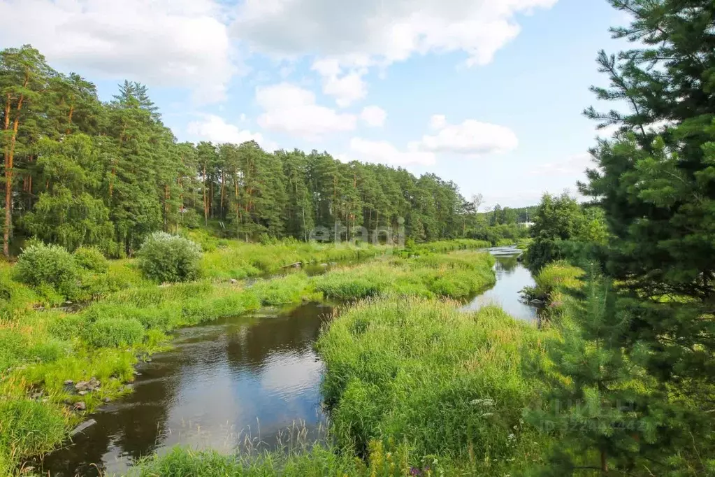 Участок в Свердловская область, Асбестовский муниципальный округ, пос. ... - Фото 1