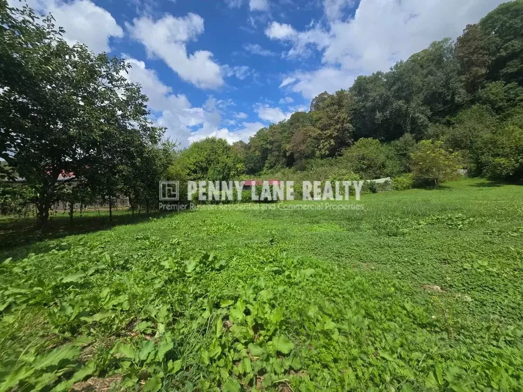 Участок в Краснодарский край, Сочи городской округ, с. Лесное, Авиатор ... - Фото 1