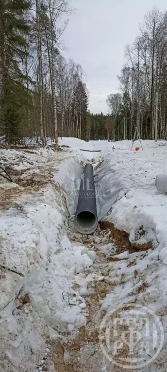 Участок в Ленинградская область, Всеволожский район, Токсовское ... - Фото 1