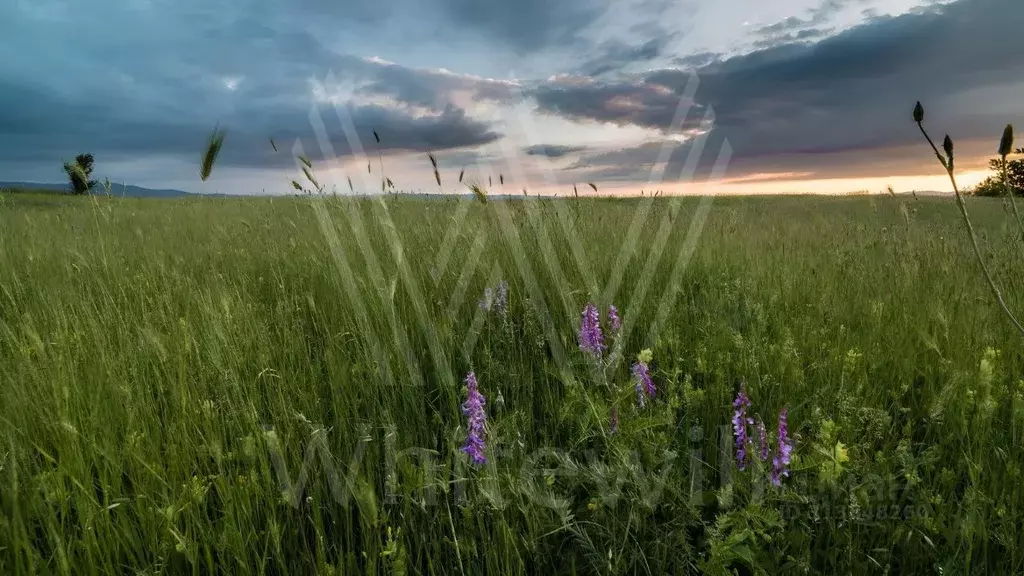 Участок в Московская область, Одинцовский городской округ, пос. ... - Фото 0