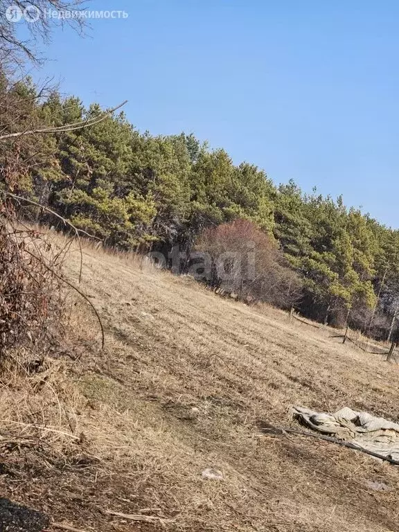 Дом в село Тамбовка, Садовая улица (42.2 м) - Фото 0