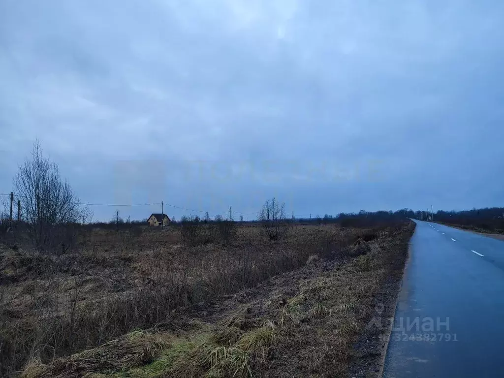 Участок в Новгородская область, Шимский район, Подгощское с/пос, с. ... - Фото 1