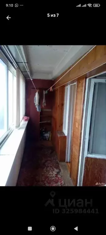 1-к кв. Липецкая область, Липецк Московская ул., 117 (35.0 м) - Фото 1