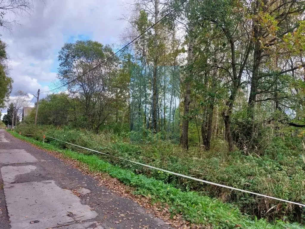 Участок в Москва Тетеринки СНТ, 3 (5.98 сот.) - Фото 1