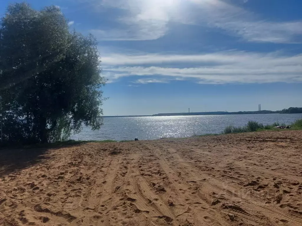 Участок в Ленинградская область, Кингисеппский район, Ивангородское ... - Фото 2