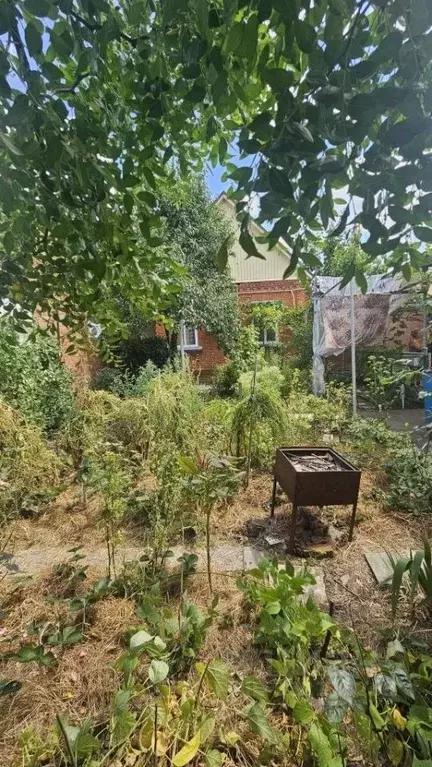 Дом в Краснодарский край, Краснодар ул. Некрасова (60 м) - Фото 2