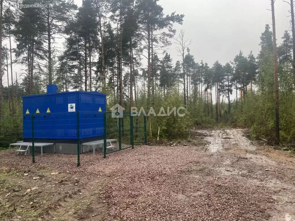 Участок в Всеволожск, улица Мужества (6 м) - Фото 1