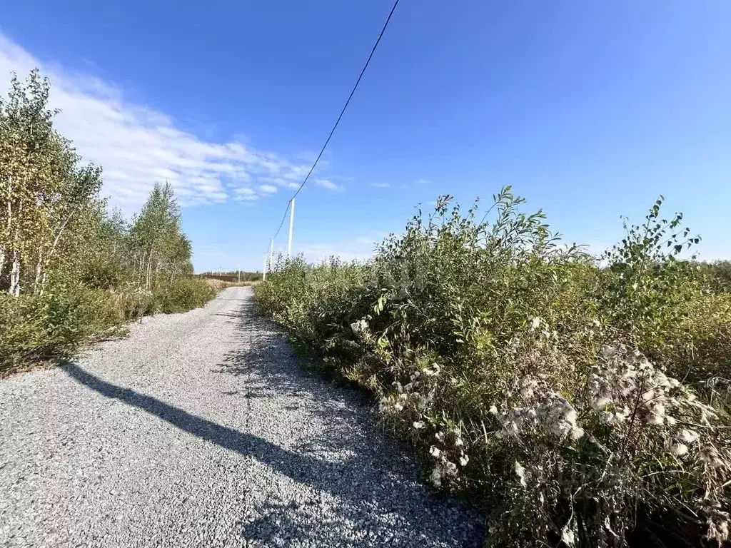 Участок в Челябинская область, Красноармейский муниципальный округ, ... - Фото 1