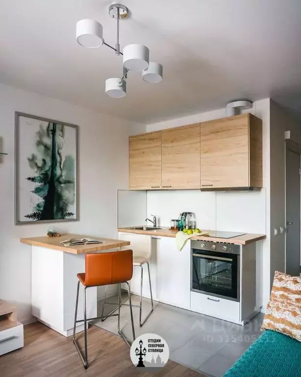 Студия Санкт-Петербург Литейный просп., 12 (21.3 м) - Фото 0