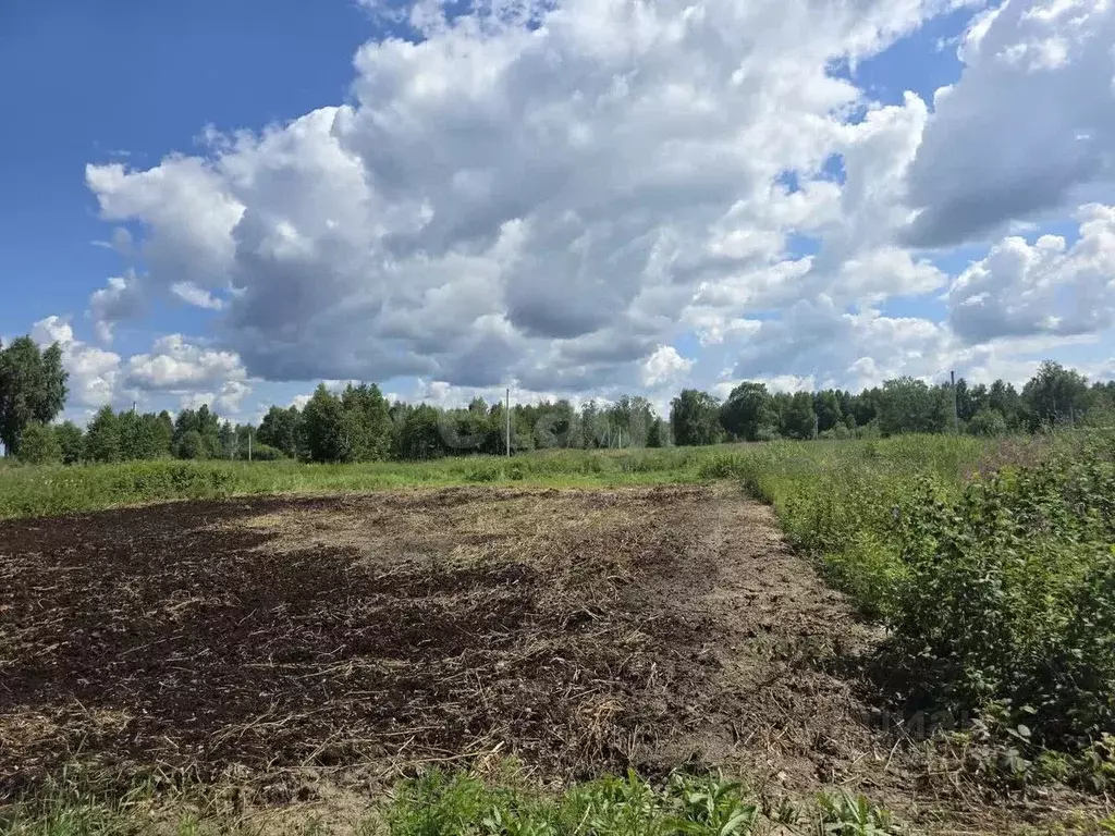 Участок в Тюменская область, Нижнетавдинский муниципальный округ, ... - Фото 1