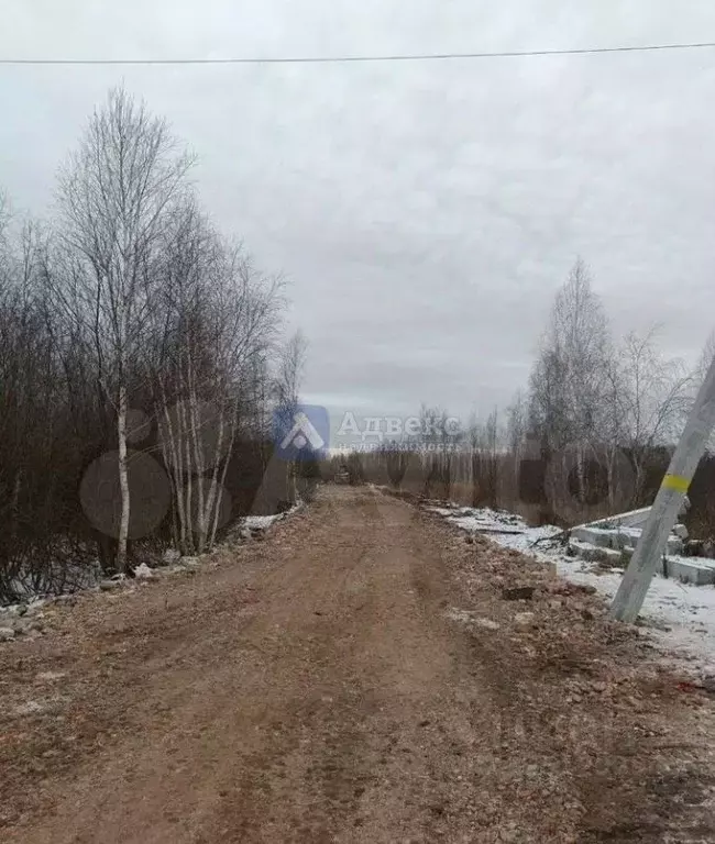 Участок в Тюменская область, Нижнетавдинский муниципальный округ, ... - Фото 2