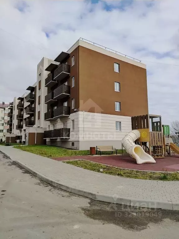 Студия Воронежская область, с. Новая Усмань ул. Полевая, 22 (27.5 м) - Фото 2