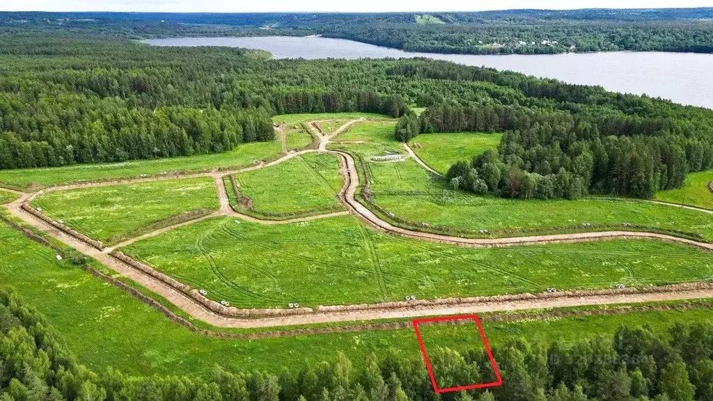 Участок в Ленинградская область, Приозерский район, Красноозерное ... - Фото 1