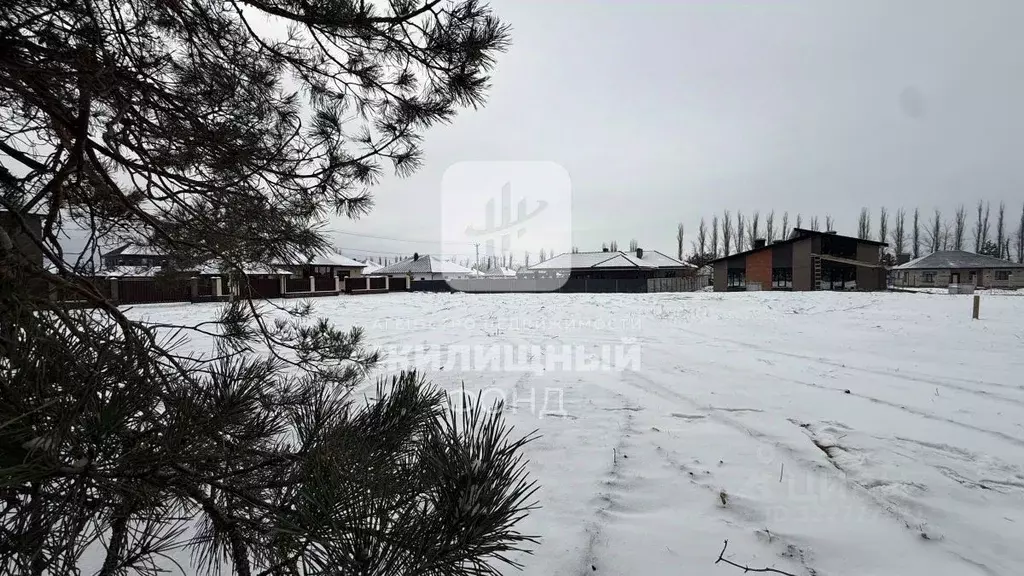 Участок в Саратовская область, Энгельсский район, Красноярское ... - Фото 1