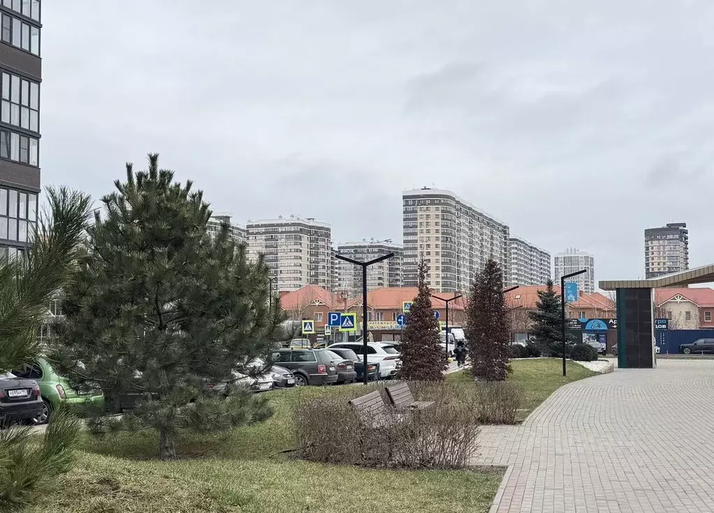 Помещение свободного назначения в Краснодарский край, Краснодар бул. ... - Фото 1