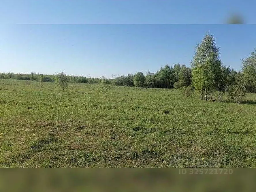 Участок в Московская область, Сергиево-Посадский городской округ, д. ... - Фото 1