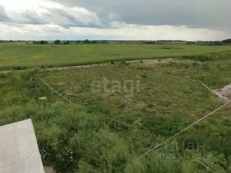 Участок в Калининградская область, Гурьевский муниципальный округ, ... - Фото 2