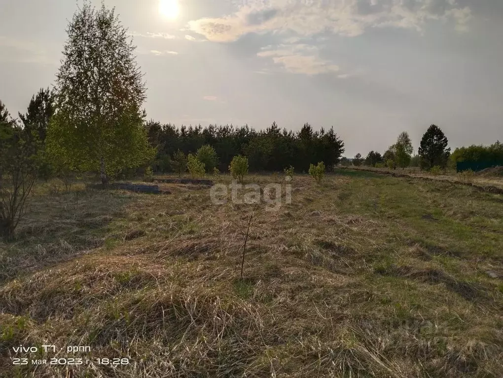 Участок в Свердловская область, Горноуральский городской округ, д. ... - Фото 1