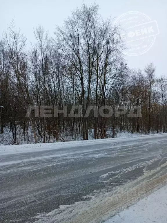 Участок в Ростовская область, Мартыновский район, Рубашкинское с/пос, ... - Фото 1