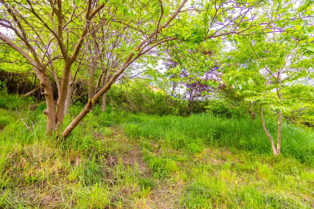 Участок в Краснодарский край, городской округ Сочи, село Каштаны (9 м) - Фото 1