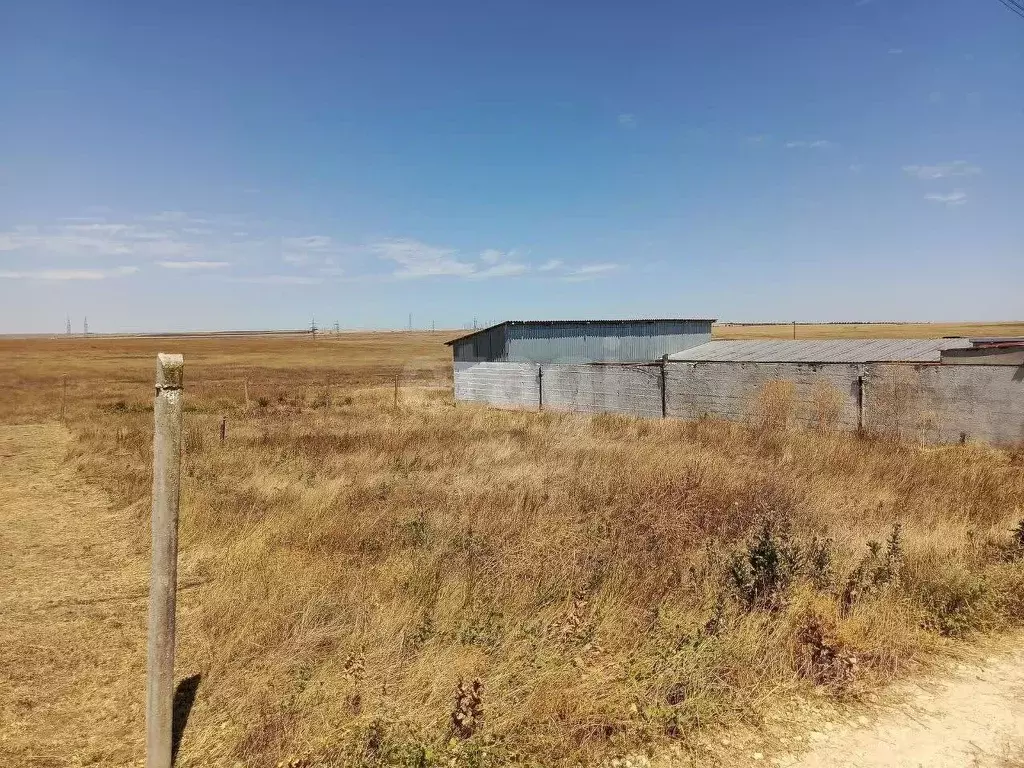 Участок в Крым, Феодосия муниципальный округ, Буревестник дп ул. ... - Фото 1