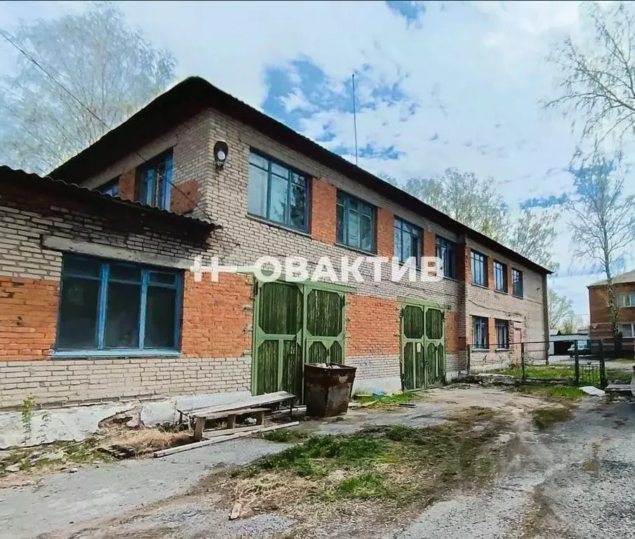 Помещение свободного назначения в Новосибирская область, Тогучин ... - Фото 1