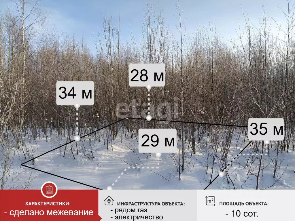 Участок в Вологодская область, Великоустюгский муниципальный округ, д. ... - Фото 1