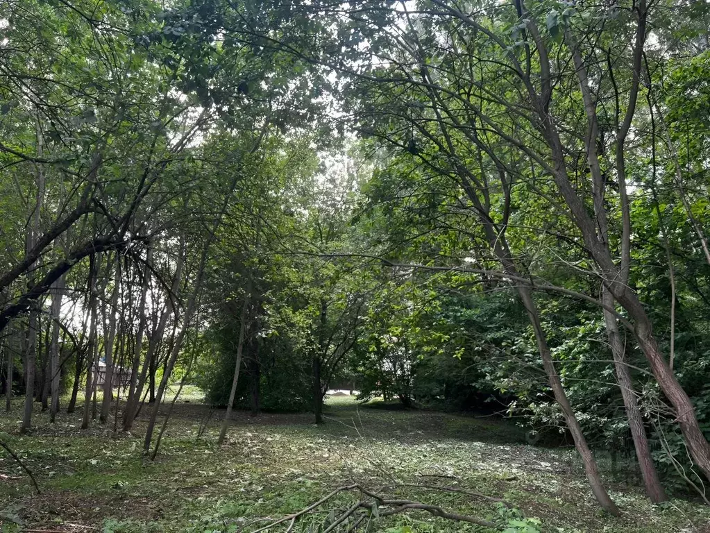 Участок в Московская область, Ленинский городской округ, д. Жабкино, ... - Фото 2