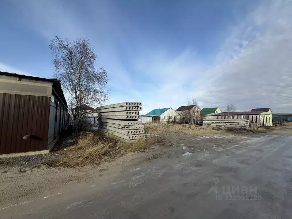 Участок в Ямало-Ненецкий АО, Новый Уренгой Фемида СНТ, ул. 1-я ... - Фото 2