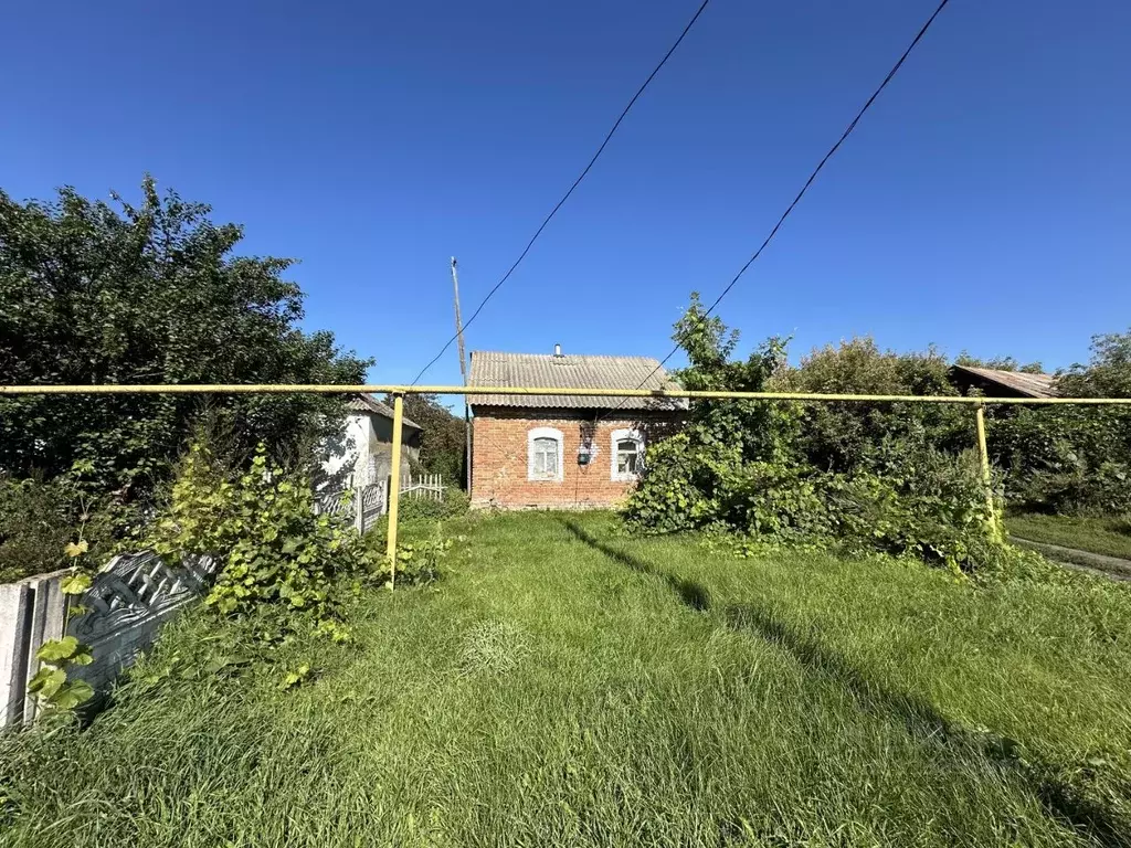 Дом в Воронежская область, с. Каширское ул. 9 Января, 57 (24 м) - Фото 1