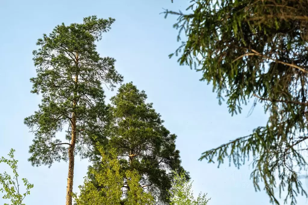 Участок в Московская область, Одинцовский городской округ, пос. ... - Фото 2