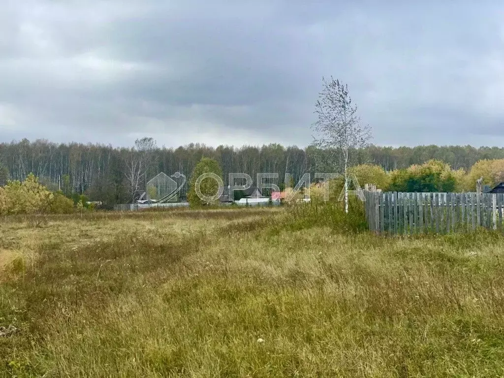 Участок в Тюменская область, Нижнетавдинский муниципальный округ, пос. ... - Фото 2