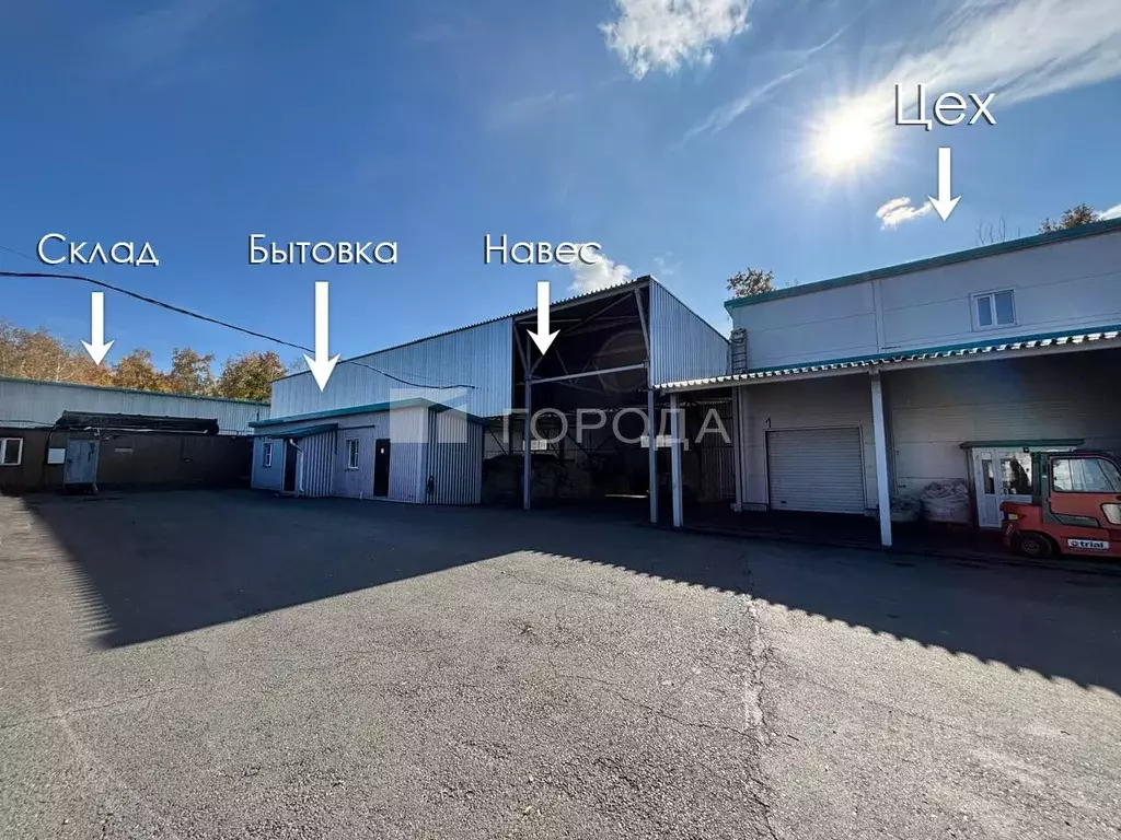 Помещение свободного назначения в Алтайский край, Барнаул просп. ... - Фото 1