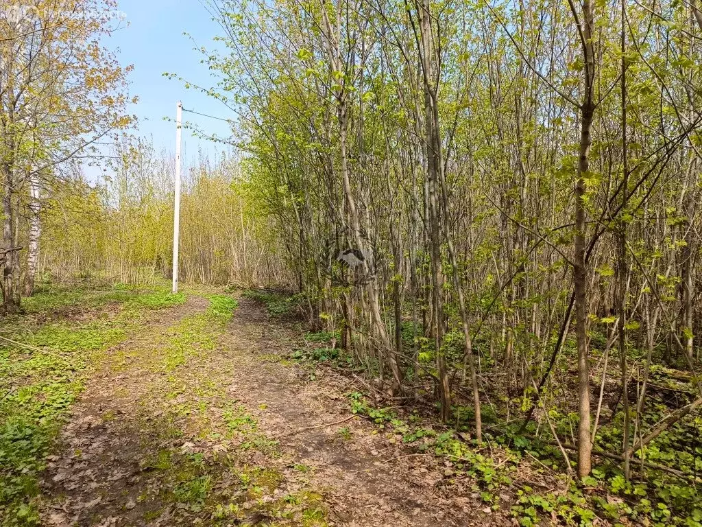 Участок в Козельск, улица Медведева (15 м) - Фото 1