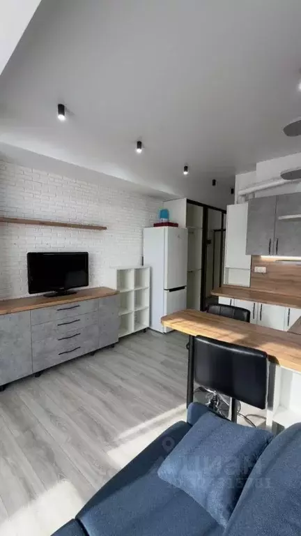 Студия Краснодарский край, Сочи городской округ, Дагомыс пгт ш. ... - Фото 2